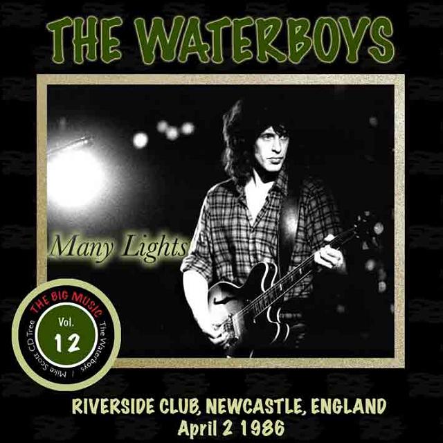 Cover of 'Big Music Tree Volume 12 - Many Lights, Newcastle England 1986' - The Waterboys